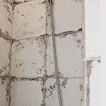 Cleos House Apartament