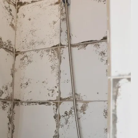 Cleos House Appartement